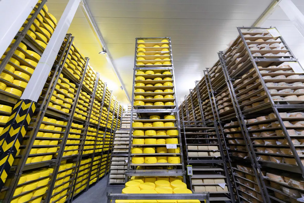 Food Warehouse for Maximum Storage Efficiency in the UAE